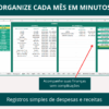 Tela de registro de despesas e receitas, ideal para lançamentos diários e categorização de gastos.