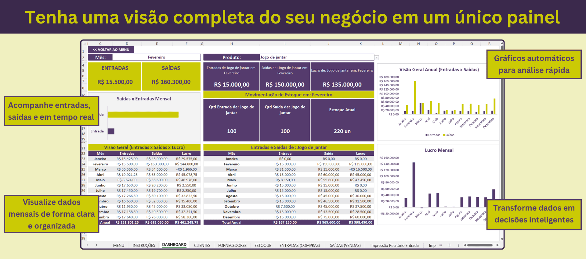 Painel com gráficos e resumo de entradas, saídas e lucro mensal