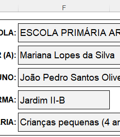 Preenchimento do cabeçalho no Modelo de Relatório para Educação Infantil, mostrando campos como escola, professor, aluno, turma e período.