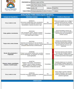 Modelo de Relatório BNCC educação infantil