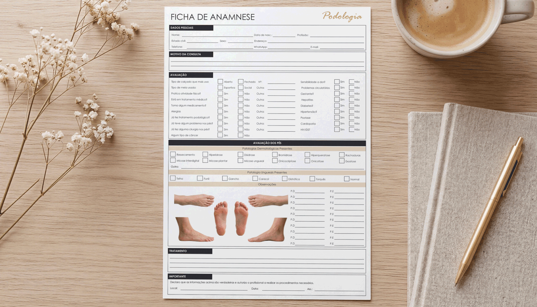 Modelo 3 de ficha para avaliação dos pés com anamnese detalhada